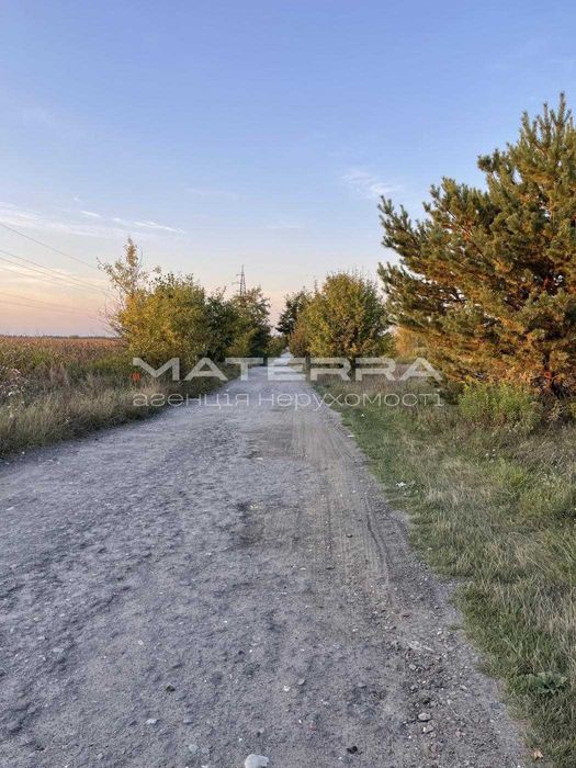 Липовий Скиток дача СТ "Дача"