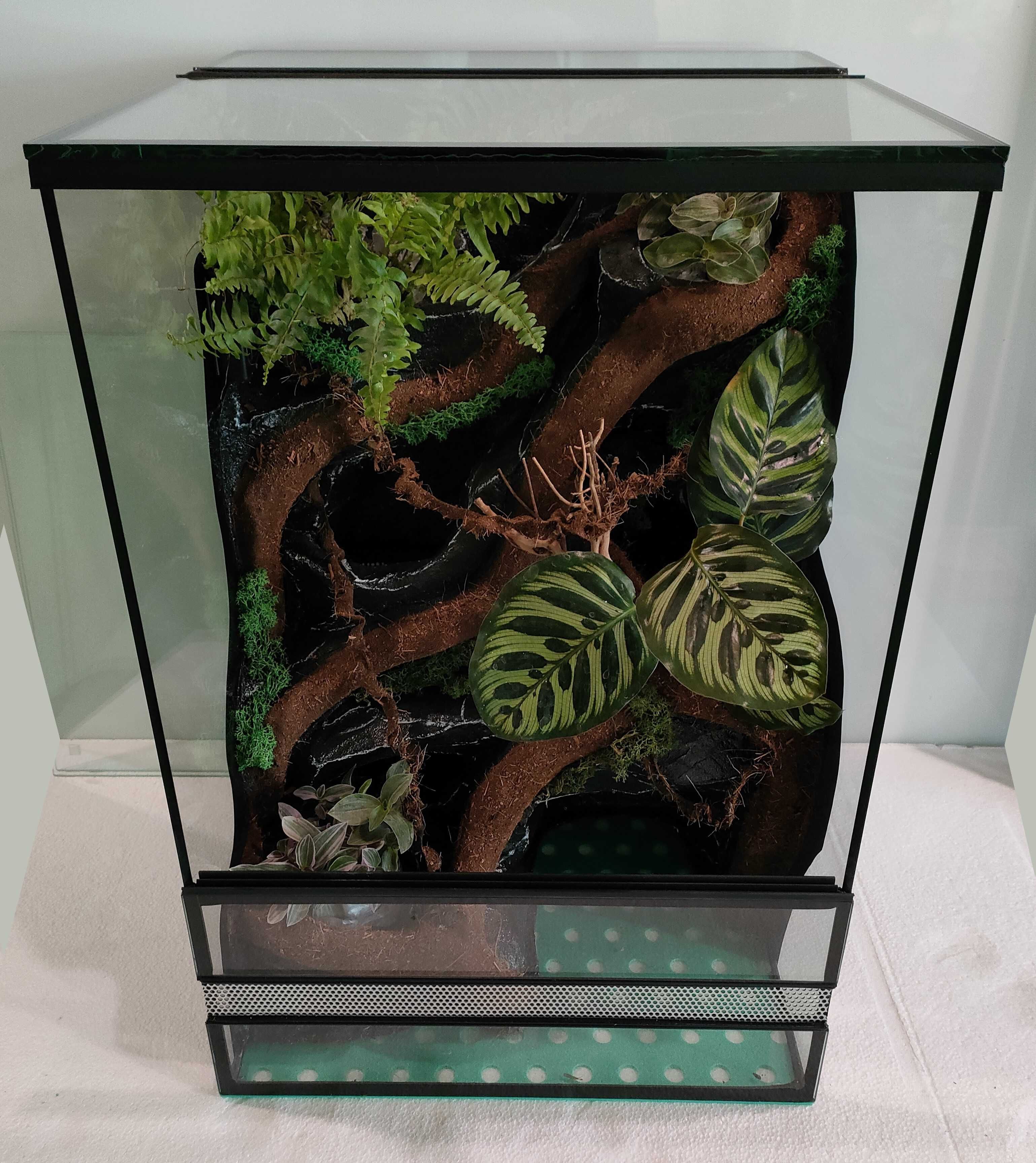 Terrarium z wodospadem dla gekona orzęsionego AquaWaves TW02WBP