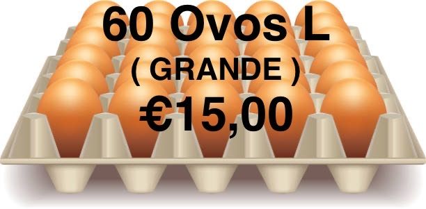 Caixas de 60 Ovos L ( grande ) €15