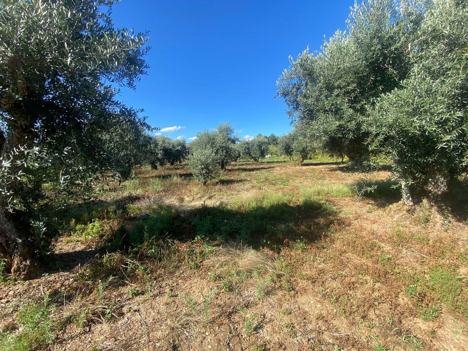 Terreno na Vila do Paul próximo das praias fluvias