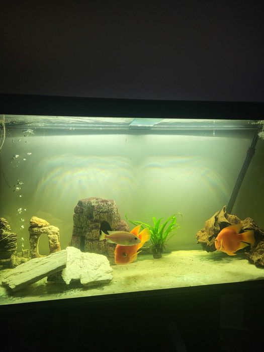 Sprzedam akwarium 400l