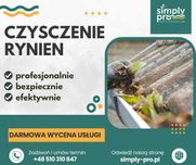 Czyszczenie rynien