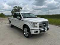 Ford F150 Platinum Limited Lobo Perła
