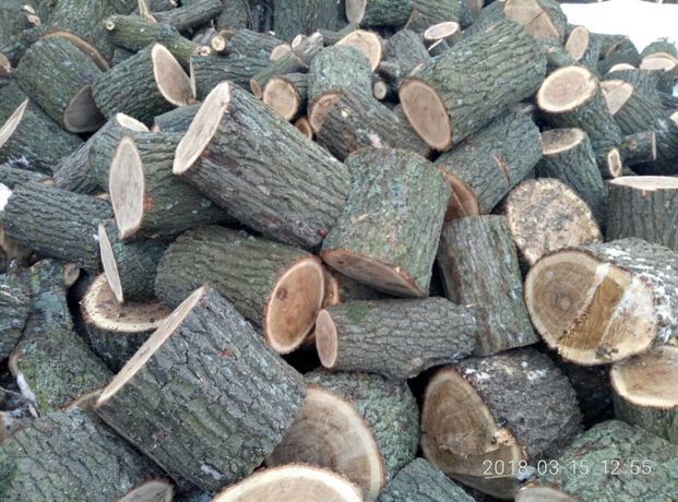 Продам дрова любых пород для топки котлах и печах от 500 грн куб