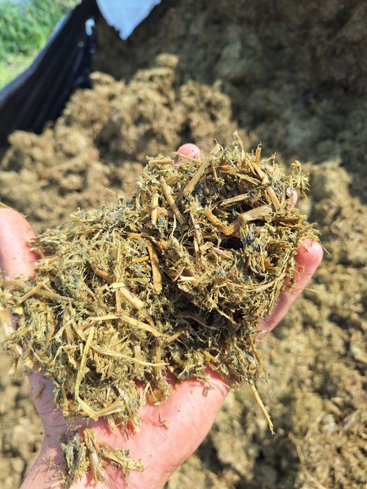 Śrutowanie gniecenie mielenie pakowanie zakiszanie w rękawy foliowe.