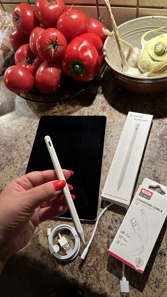 Tablet iPad Apple Retina - Touch ID - PROCREATE
