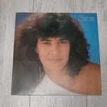 Simone Amor e Paixão vinil