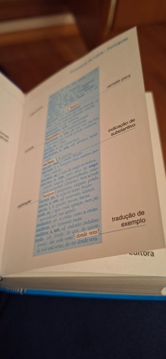 Dicionário latim português