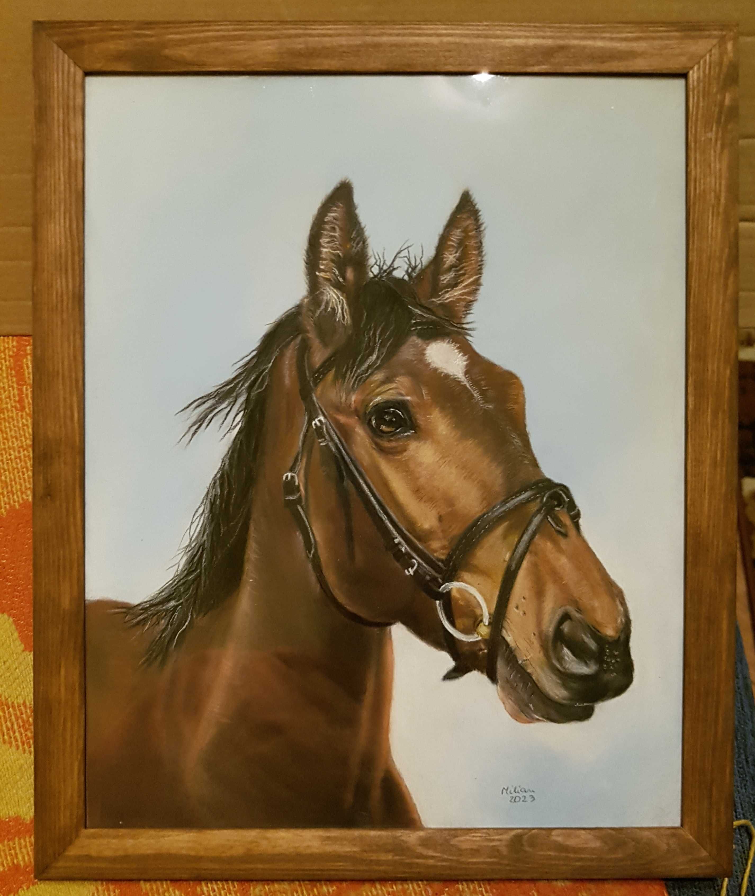 Portret konia w pasteli suchej