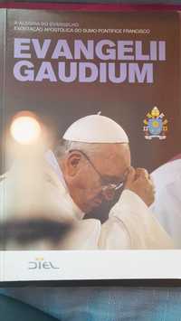 Evangelli Gaudium Papa Francisco