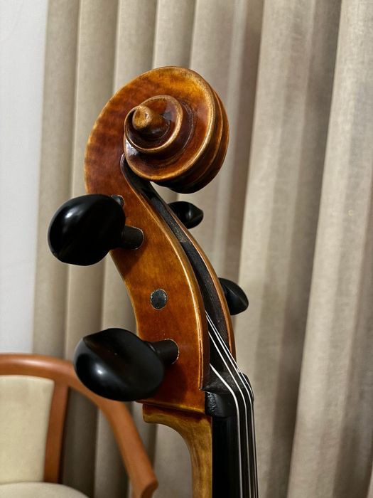 Violoncelo Profissional Luthier - Jay Haide 2017
