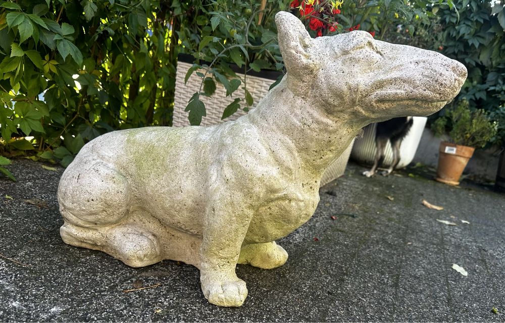 Rzeźba psa bullterier pies betonowa figurka do ogrodu sztuka