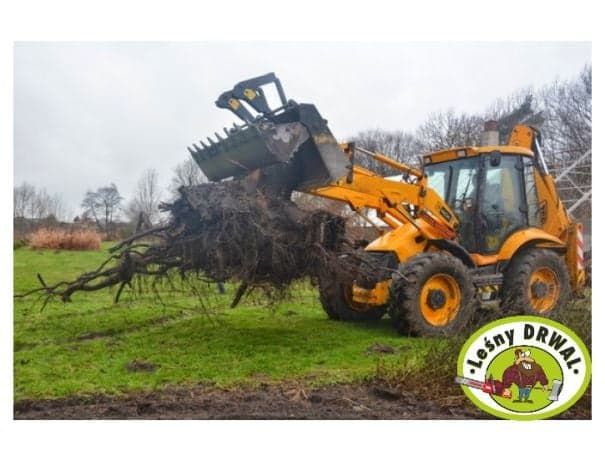 Wycinka Drzew, utylizacja zielonej masy, podnośnik koszowy, Frezowanie