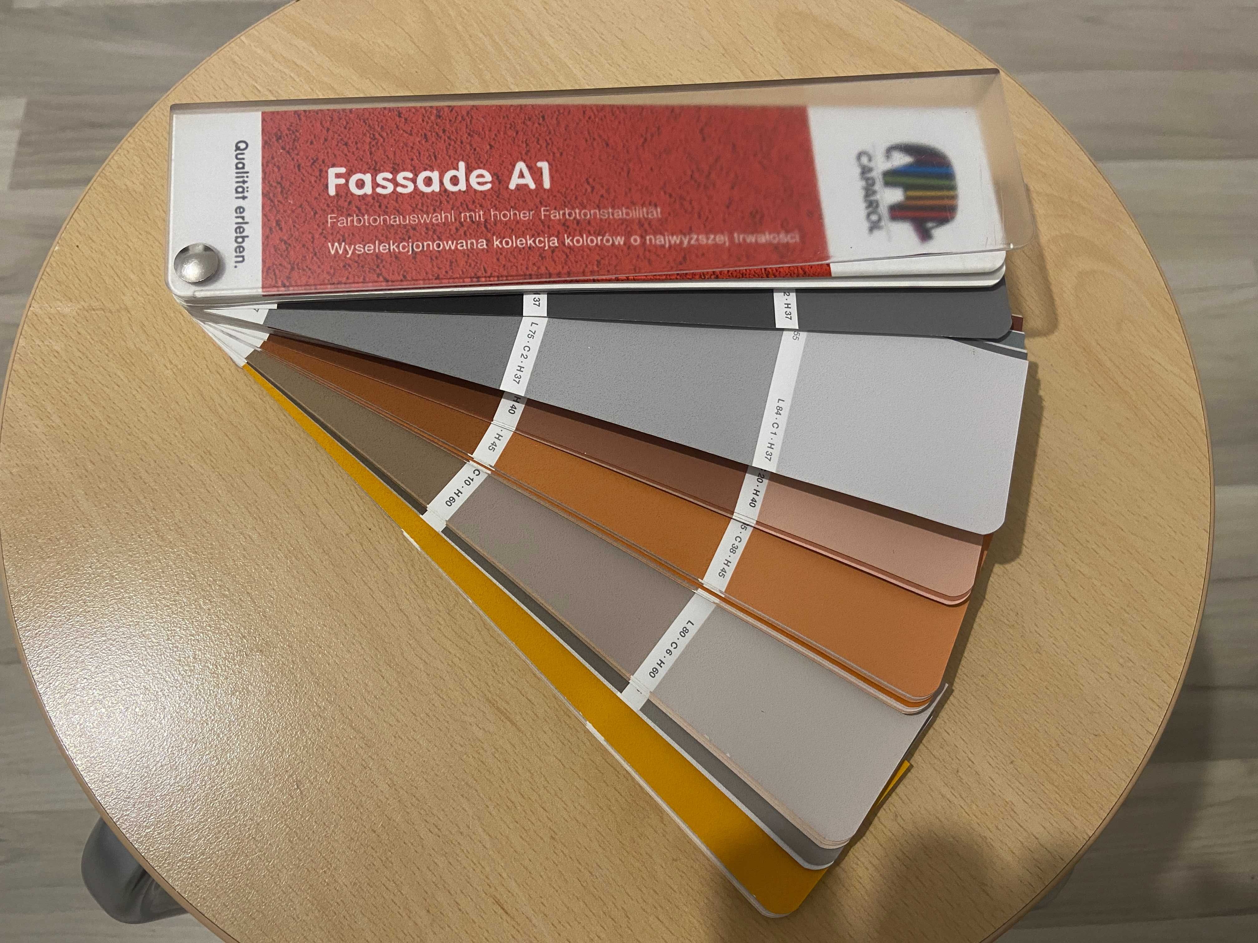Wzornik Caparol Fassade A1