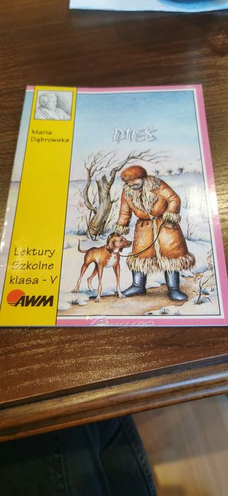 lektura szkolna dla klasy 5  Pies Maria Dąbrowska