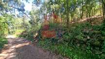 Terreno florestal, Balança
