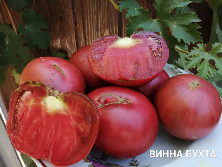 Помідори. Набір помідор.насіння помідор,домашние семена,семена помидор