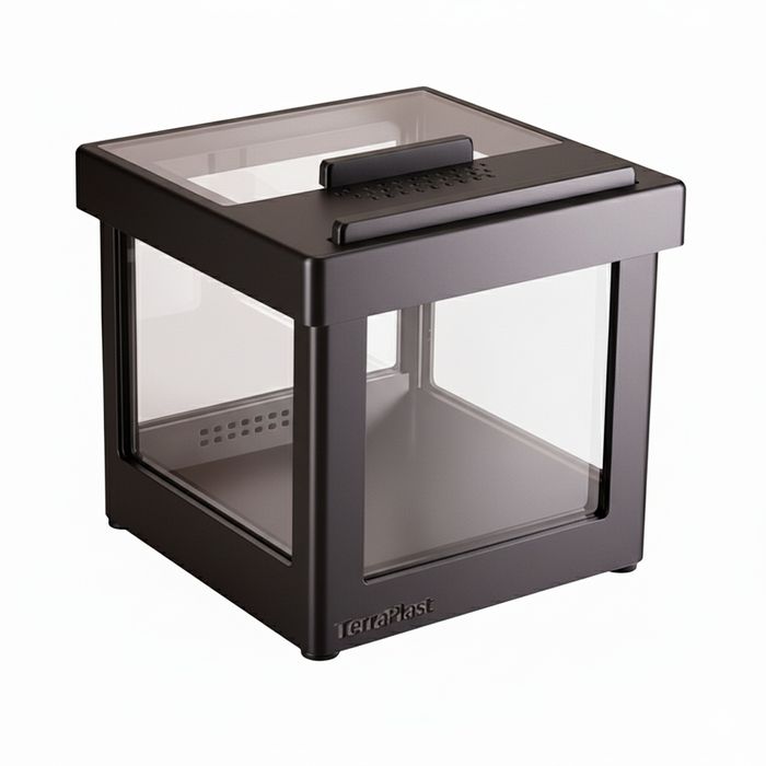 Terrarium 10x10 cm – ptaszniki, modliszki, skakuny