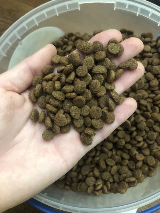 Корм для собак маленький