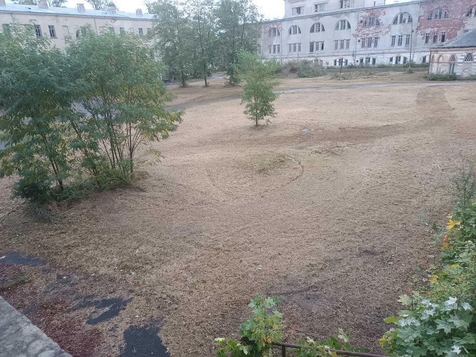 Koszenie karczowanie mulczer czyszczenie równanie działek rębak