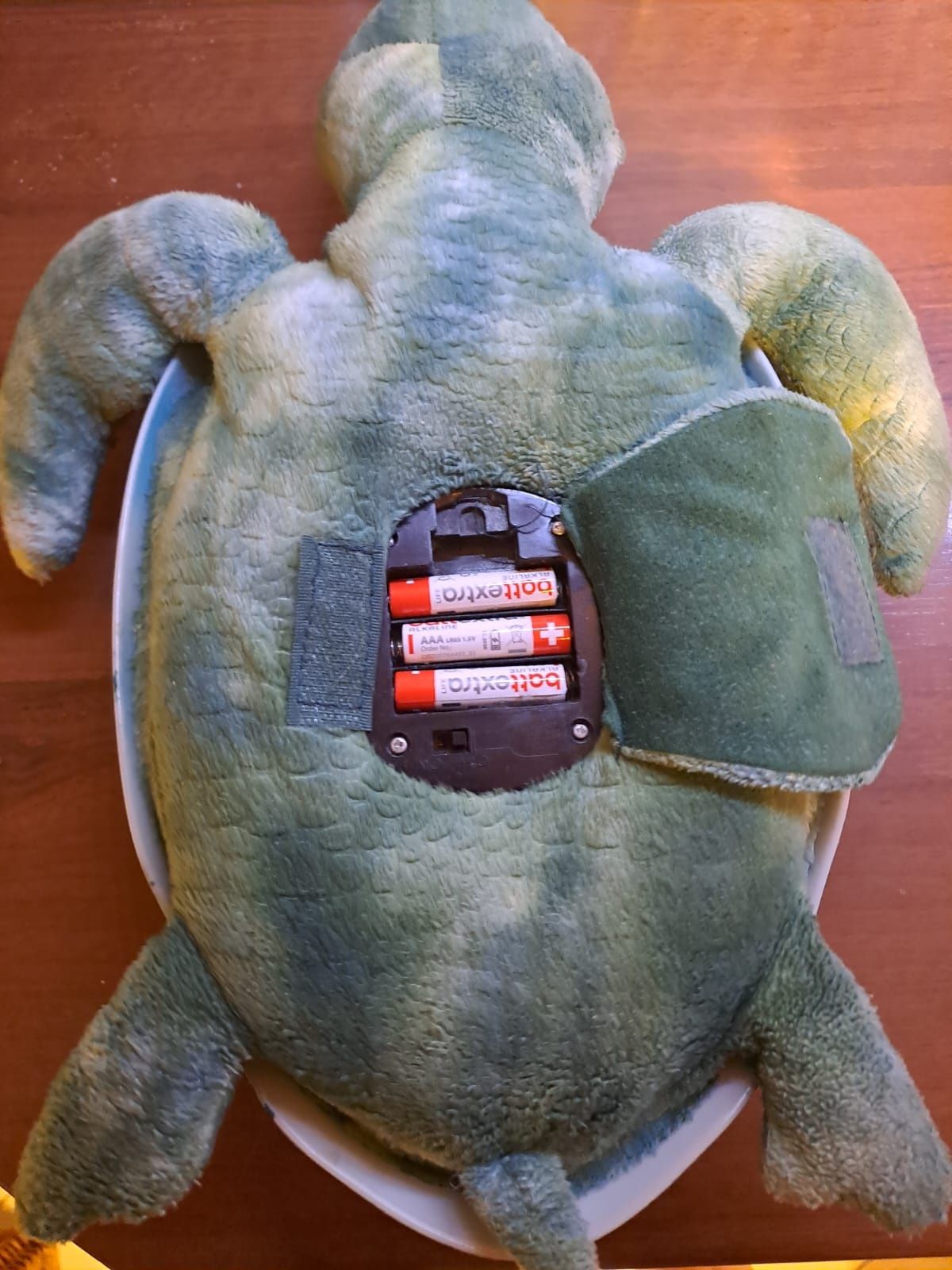 Projektorek żółw na baterie 4 kolory