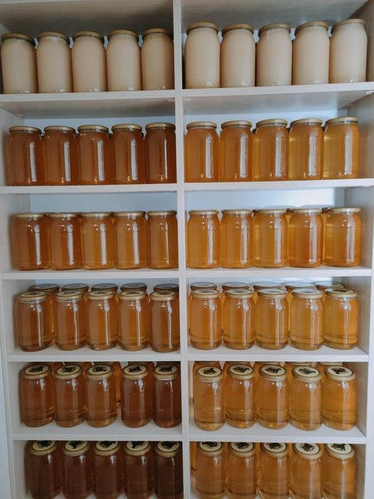 Miód z własnej pasieki Rzepakowy,Wielokwiatowy, Akacjowy, Lipowy 2025r