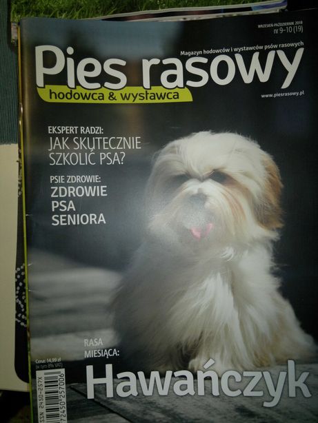 Pies Rasowy, Pies, Przyjaciel Pies czasopisma 26 szt