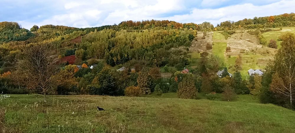 Чудова ділянка у чудовому місці на курорті Поляна Закарпатська область