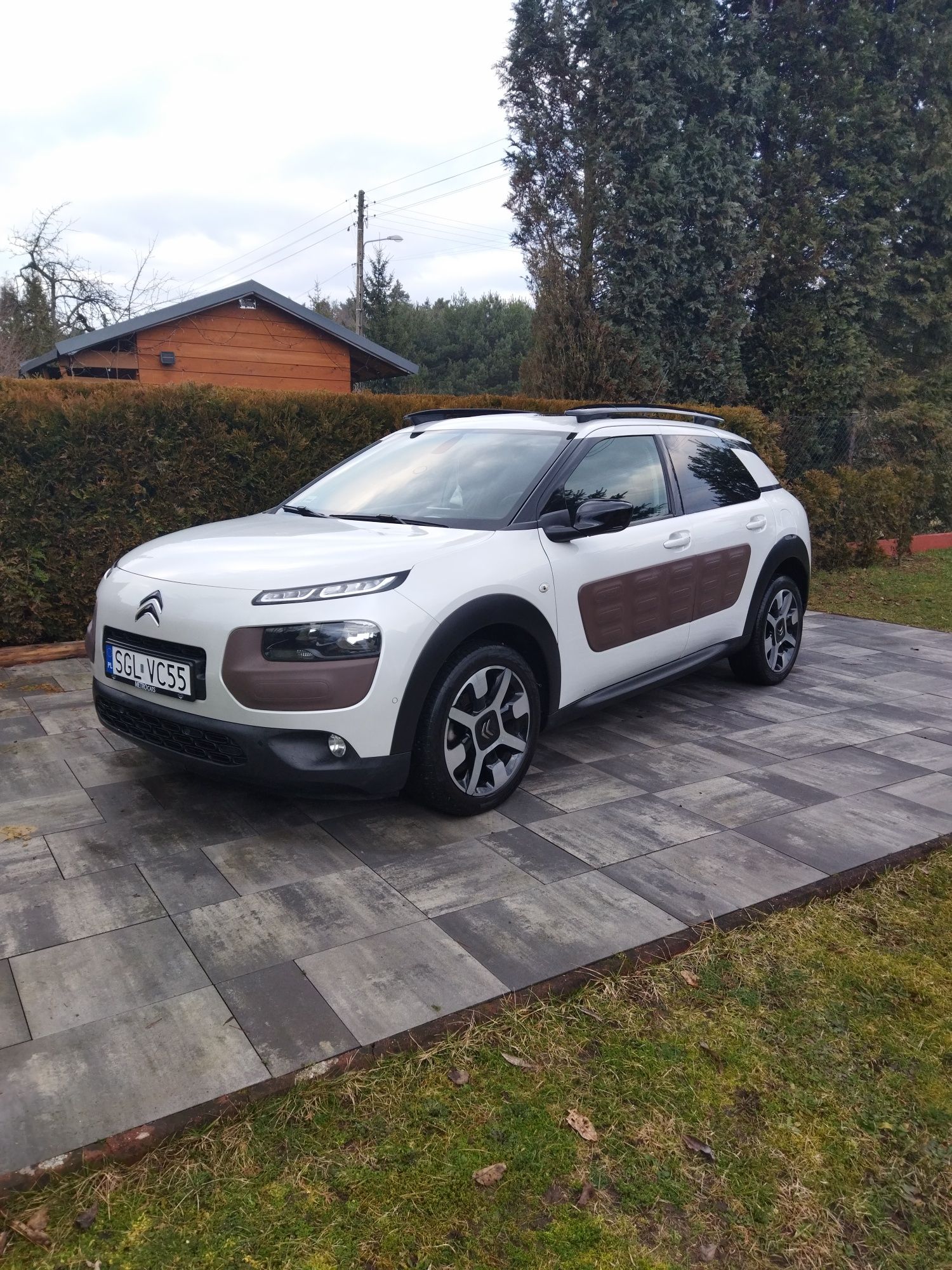 Citroen C4 Cactus Shine