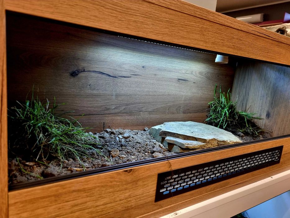 Terrarium 100x40x40 żółw lądowy grecki stepowy