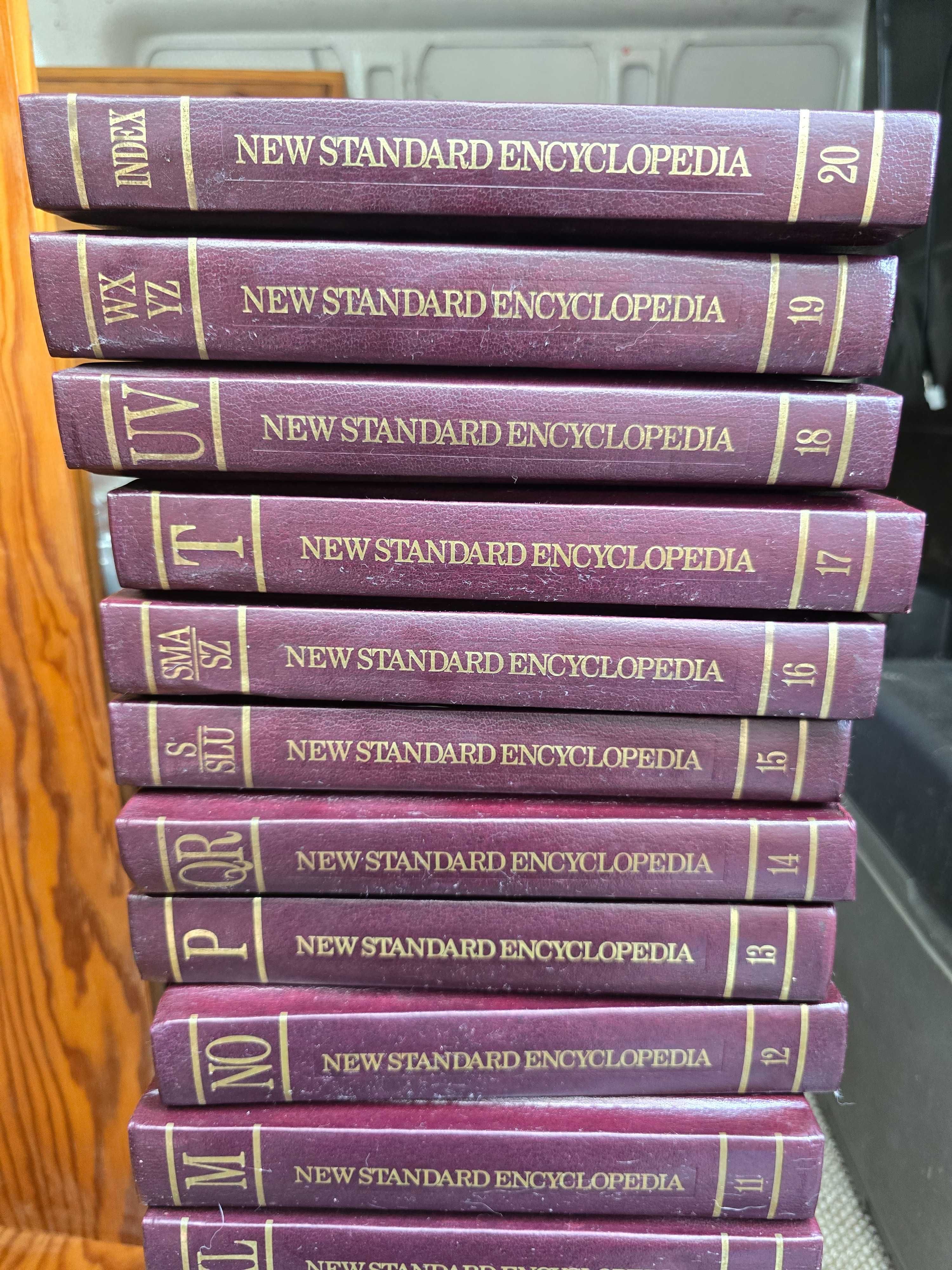 Enciclopedia new standard nova