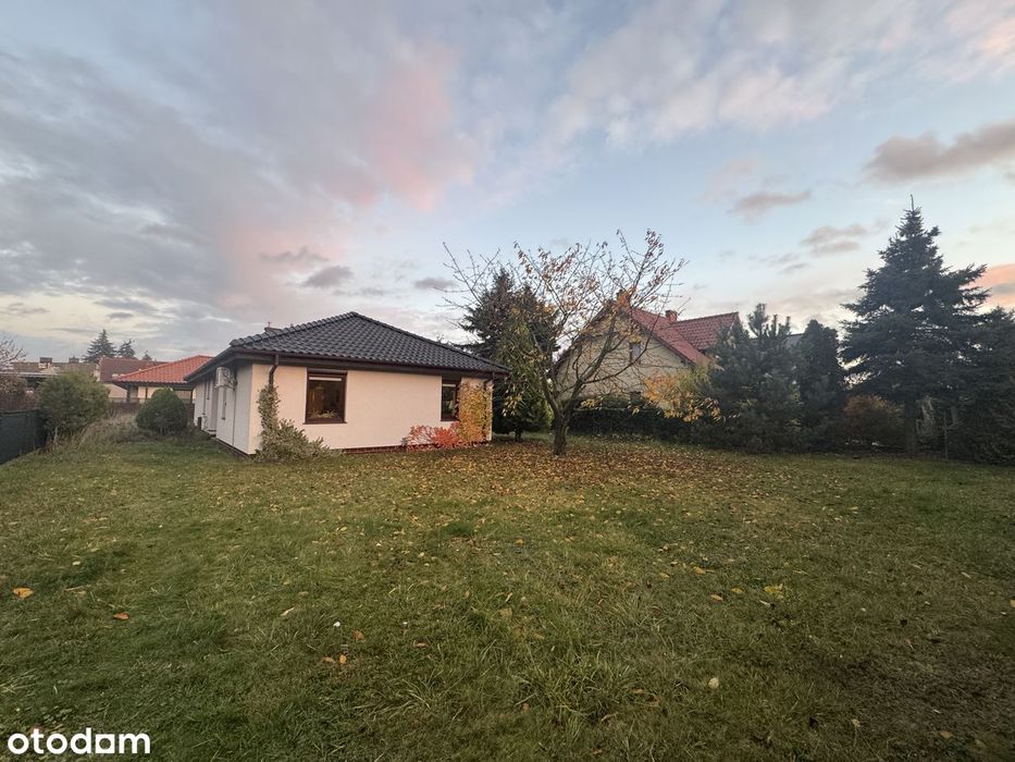 Oferta na wyłączność!