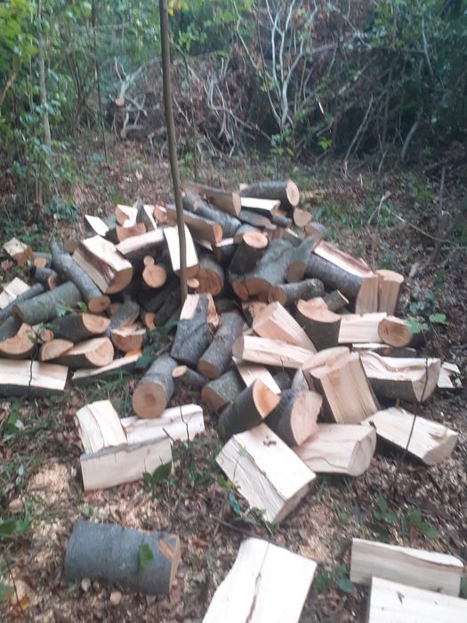 Дрова твердої породи бука та граба