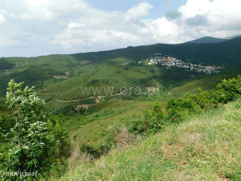 Terreno / Seia, Sazes da Beira