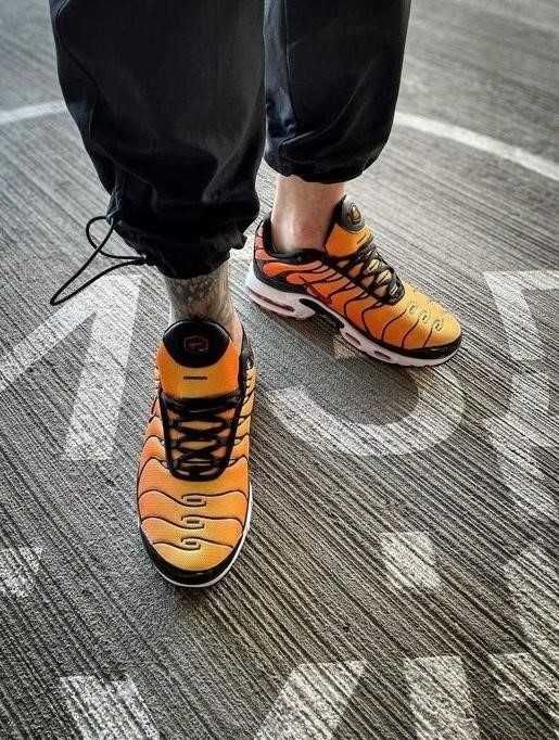 Мужские кроссовки Nike Air Max Plus Tn 41-45 найк Знижжка!