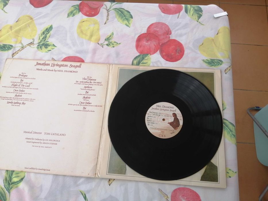 Neil Diamond, Jonathan Livingston Seagull