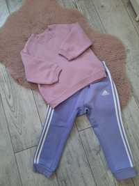 Dresy adidas bluza Zara komplet