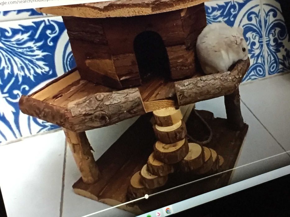 casa de madeira para hamster ou pequeno roedor.