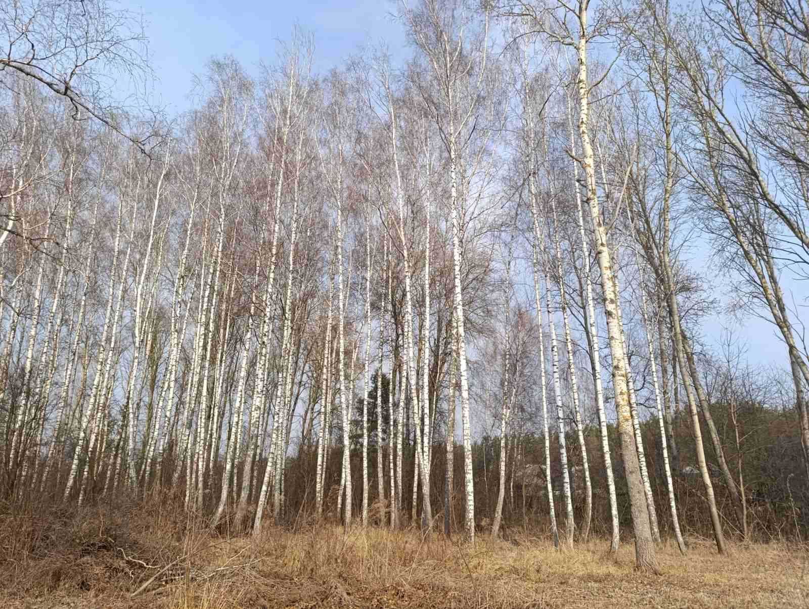 Дачний будинок з каміном ! Поряд з ліс!