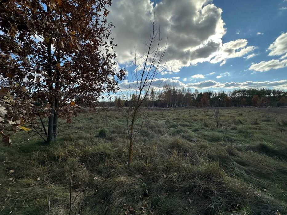 Продаж ділянки 38сот під забудову. Електрика поруч. Біля лісу. ID:732