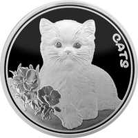 Монета кошеня, кіт, котик, 1 унція срібла 999 Пруфлайк Фіджі 2022