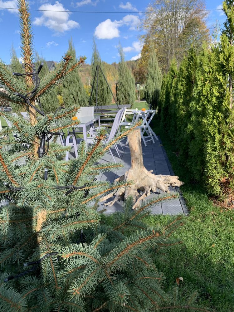 Domek w Beskidach Niezapominajka z ogrodem