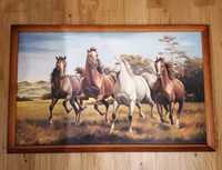 Obraz konie duży