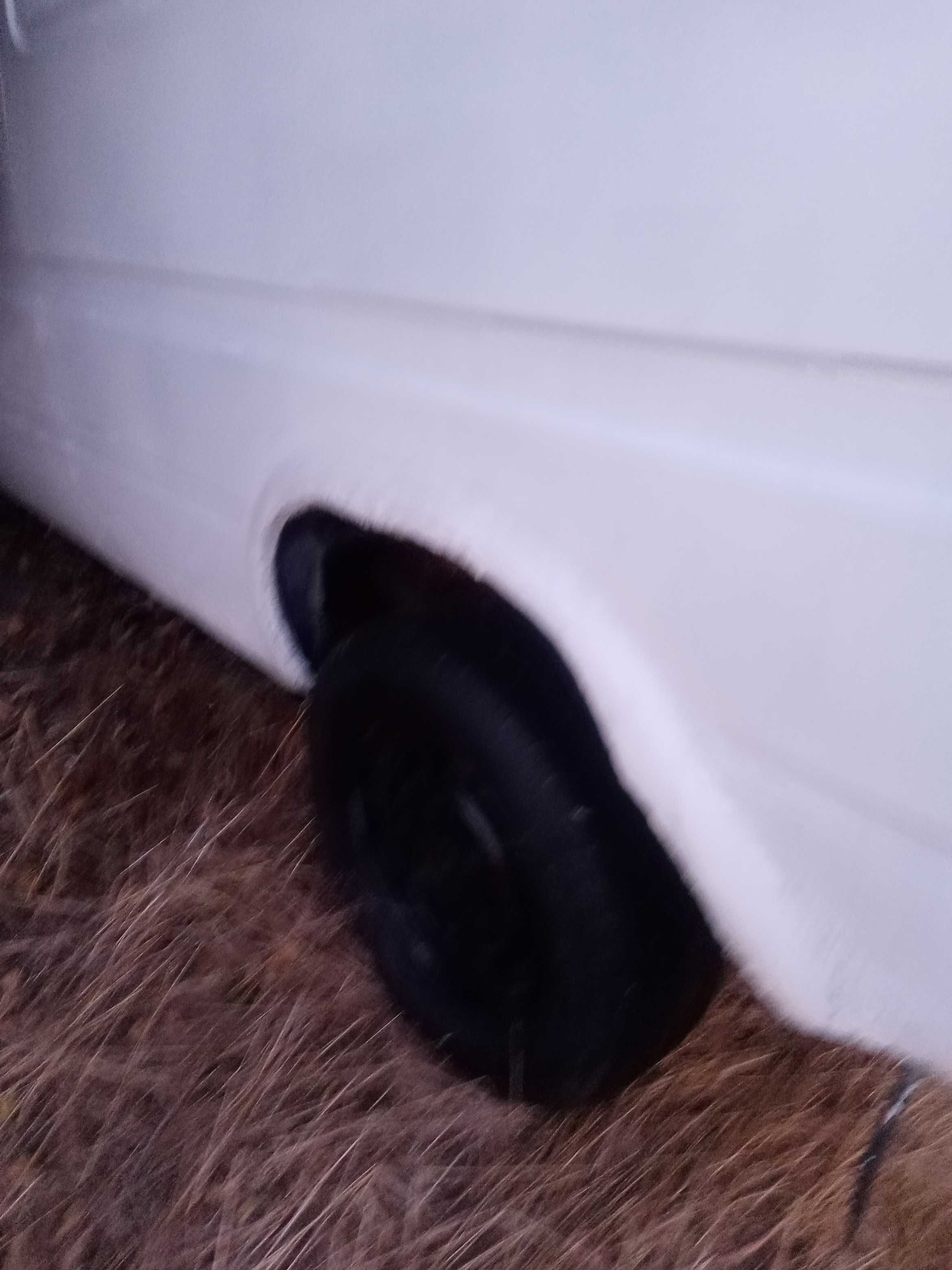 Carrinha Ford transit c