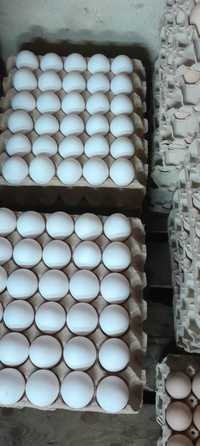 Jajko jajka wiejskie białe kremowe brąz