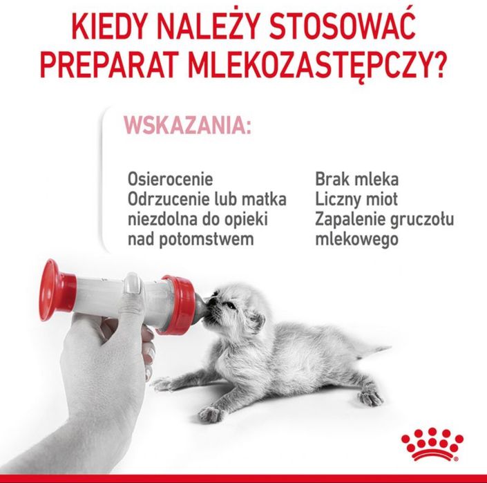 400gr. Royal Canin‼️ Mleko Kocięta Szczenięta • PIES KOT Ssaki BUTELKI