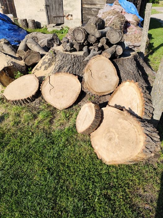 Ostatnie 10 szt plastry dembu ?