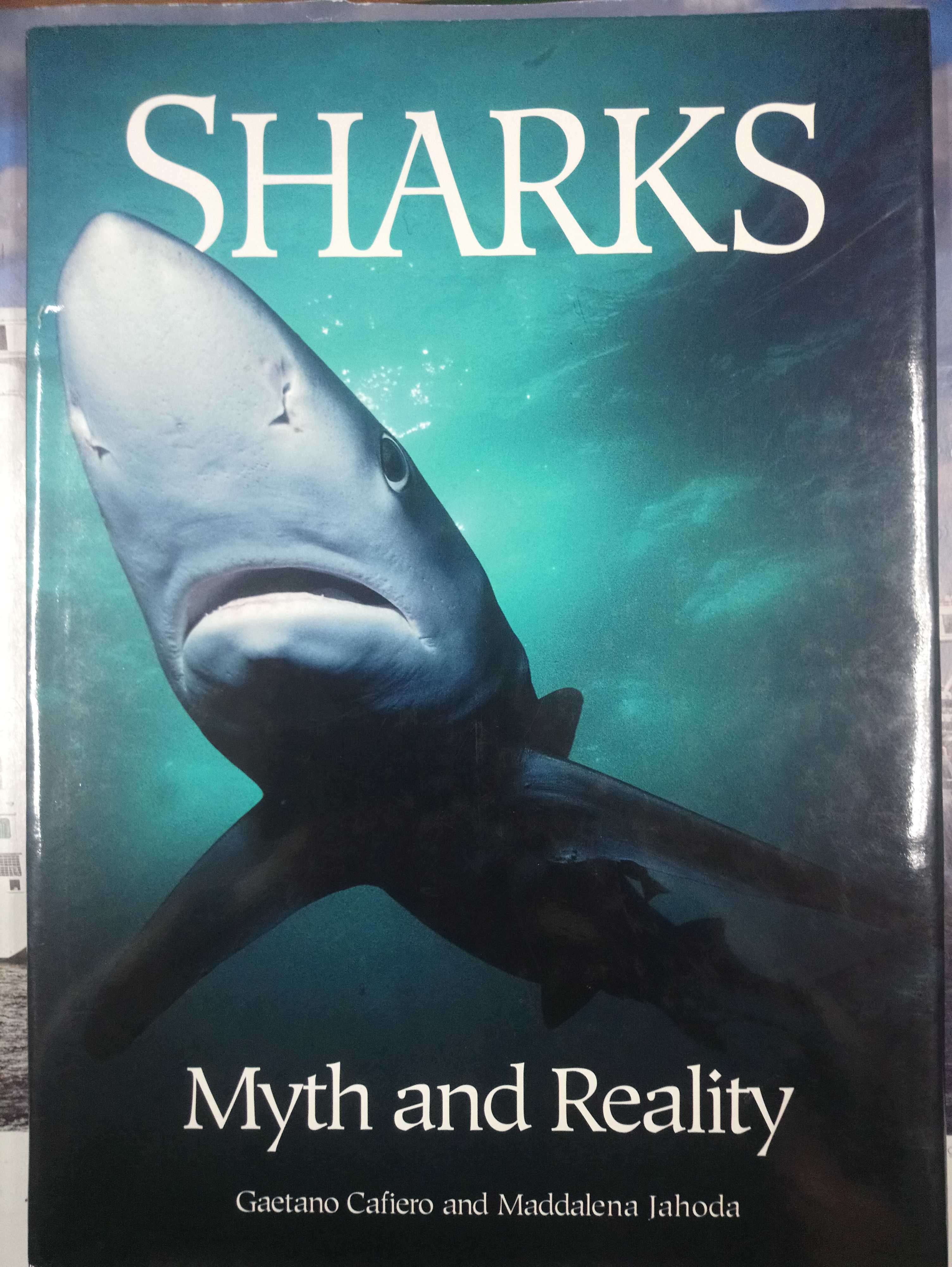 Livro sobre TUBARÕES / SHARK