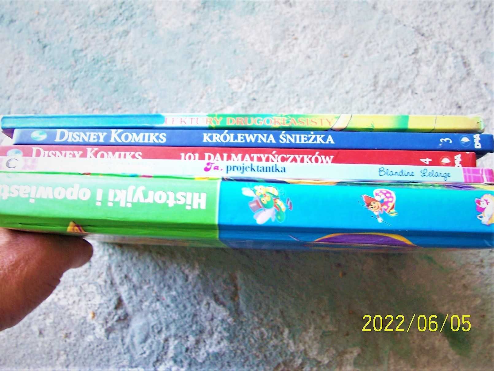 Zestaw dużych bajek i komiksów Disneya