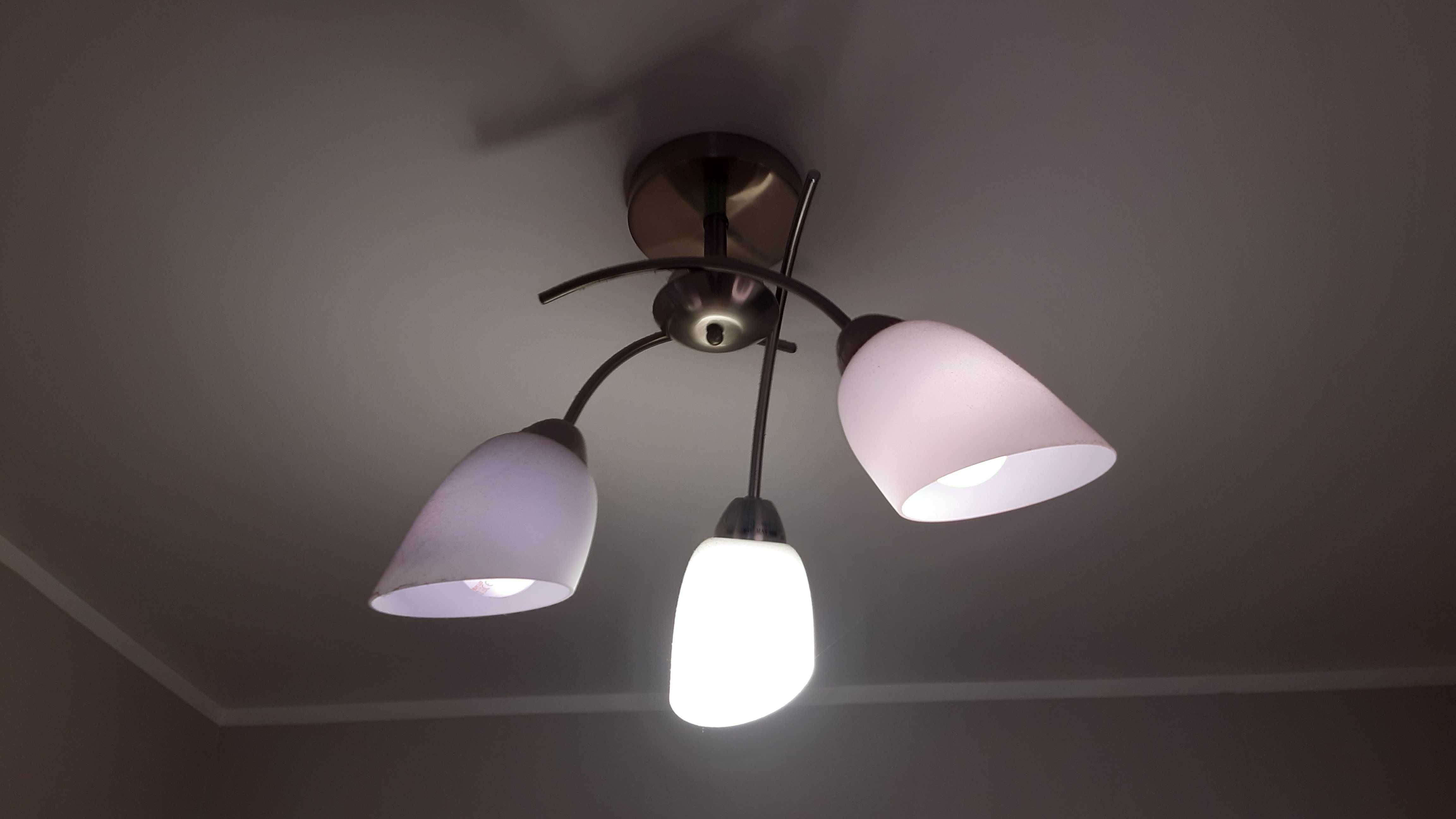 Kolorowa Lampa bez uszkodzeń